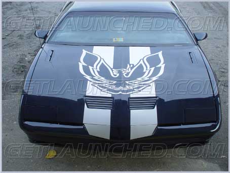 Pontiac-Firebird-Phoenix-Car-Graphic-decals <a href=http://www.getlaunched.com/gallery_pics3.html